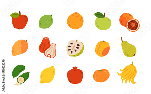 Exotic, tropical, rare and Common Fruits Collection. Flat cartoon Vector Set of fruits on white isolated background.