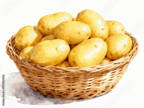 Farm Potato Basket Potatoes in a Basket isolated watercolor vector illustration svg