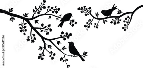 Birds on Branch Silhouette Vector Collection Featuring Songbirds Perched on Flowering Tree Limbs with Spring Blossoms Isolated on White Background for Elegant Nature Design