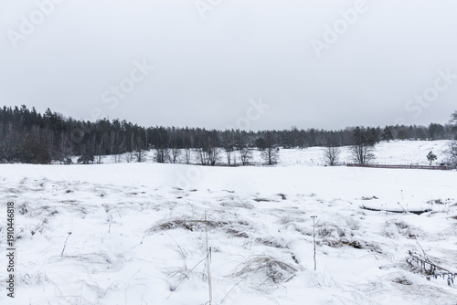 Wallpaper Mural Scenic view of snowy field in nature reserve. Torontodigital.ca