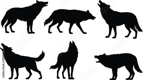 Large set of wolf silhouettes black animal vector icons isolated on white background featuring howling standing and walking wolves for wildlife nature and hunting design