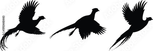 Set of flying pheasant silhouettes black bird vector icons isolated on white background for hunting sport wildlife nature conservation and outdoor game bird design