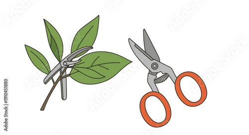 Gardening Scissors Cutting Green Plant Leaves.