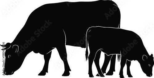Black silhouette of a mother cow and calf grazing side by side on a white background cattle bovine
