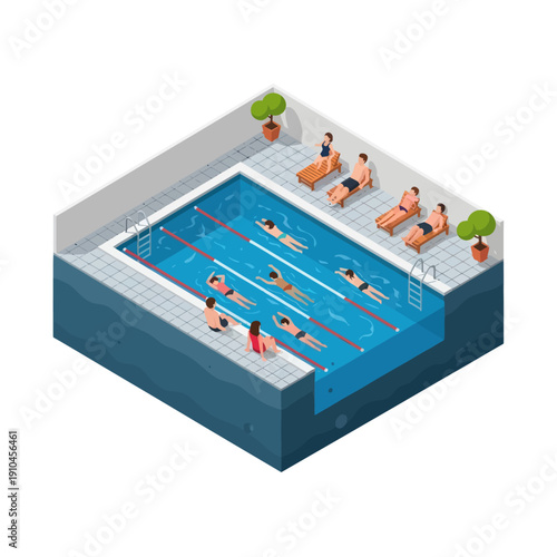 Swimmers in a Swimming Pool Scene.