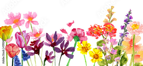 Sfondo con fiori colorati ad acquerello isolati su sfondo bianco