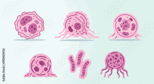 Cartoonish microscopic pink cells with internal dots, against pale blue