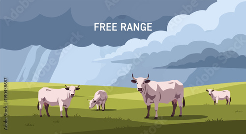 Cattle grazing on a lush green field under a stormy, cloudy sky