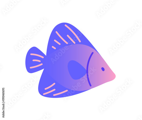 Colourful angelfish is swimming in the ocean. Sea angel fish is in water. Tropical underwater animal with fins. Sealife, undersea fauna. Flat isolated vector illustration on white background