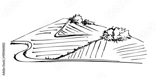 Rolling hills with patches of farmland on slopes, country road. Vintage style vector illustration hand drawn in ink for farm branding, winery websites, natural eco product labels, rustic food visuals.
