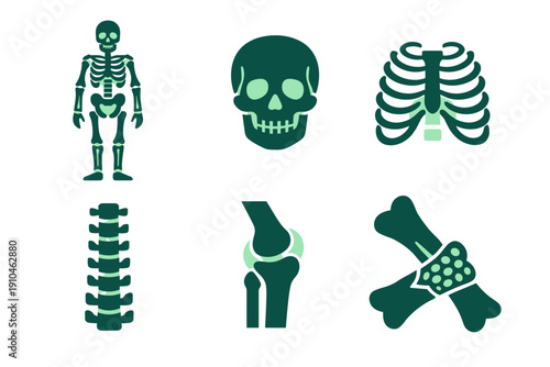 Medical anatomy icon set featuring skeleton, skull, ribcage, spine, knee joint, and crossed bones in flat vector style on white background