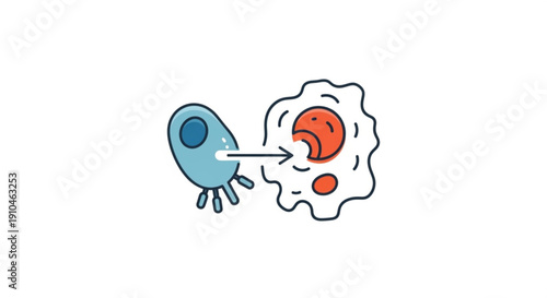 Virus infecting a cell illustrating viral infection process and immune response