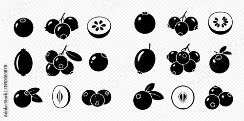 Collection of various berry icons in black and white, including blueberries, cranberries, and gooseberries, suitable for design elements.