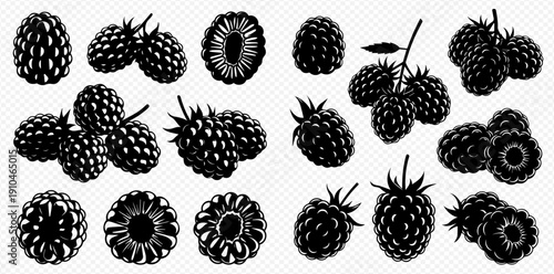 Set of fresh ripe blackberries, whole and sliced, with leaves, in a vintage woodcut style illustration.