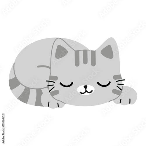 Cute Sleeping Cat Illustration animal