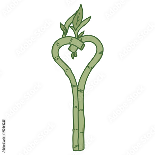 Lucky bamboo stalks twisted into a heart shape symbolizing love and luck