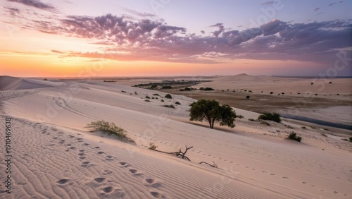 Desert landscape at dusk with pastel colored sky and horizon