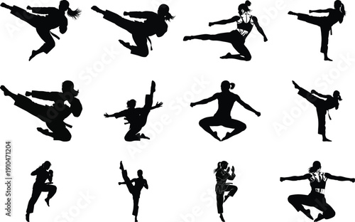 Martial arts silhouette postures