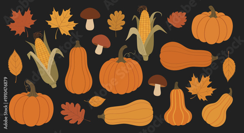 Autumn Harvest Collection of Pumpkins Corn Mushrooms and Leaves.