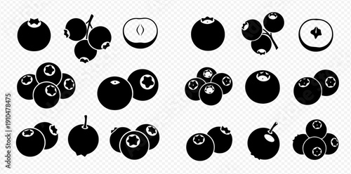 Set of various blueberry icons in black and white for graphic design projects.