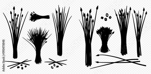 Set of black silhouettes of bundles of chives, green onions, and garlic scapes.
