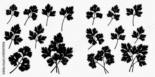 Set of black silhouettes of parsley leaves and sprigs, isolated on a transparent background, for culinary and garnish designs.