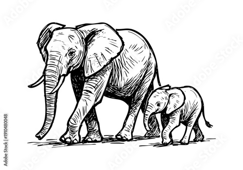 African Elephant hand drawn simple sketch vector illustration