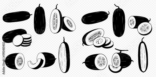 Set of hand-drawn cucumber and melon illustrations, whole and sliced, in a vintage sketch style.
