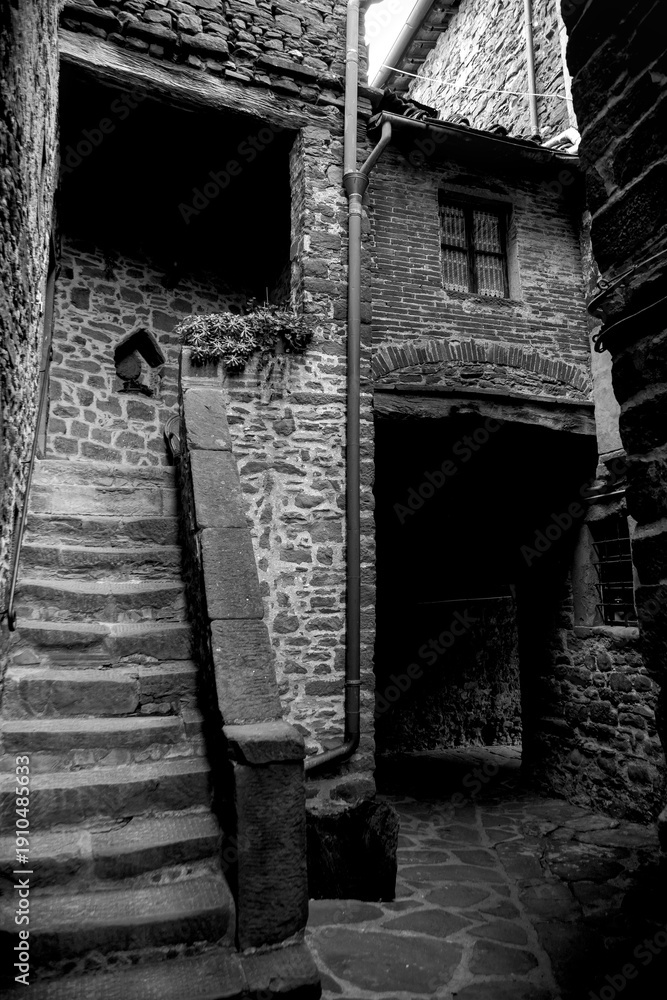 Fototapeta premium Borghi toscani in bianco e nero. Il borgo medievale di Volpaia circondato dai vigneti nella regione del Chianti Senese, Siena,Toscana. Italia