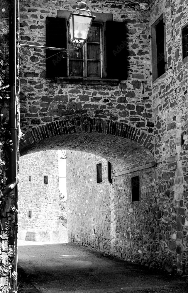 Fototapeta premium Borghi toscani in bianco e nero. Il borgo medievale di Volpaia circondato dai vigneti nella regione del Chianti Senese, Siena,Toscana. Italia