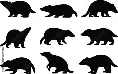 Bear silhouette collection isolated on white background, wild animal black vector set featuring standing walking and roaring poses wildlife illustration