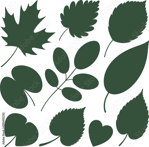 Green leaf silhouettes collection isolated on white background, botanical foliage shapes vector illustration set for nature design