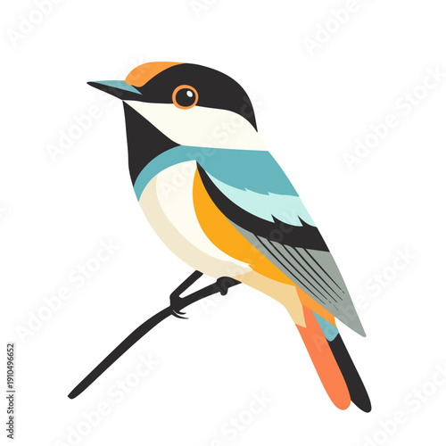 Cute colorful bird sitting on a branch vector illustration. Cartoon forest songbird with bright plumage isolated on white. Nature and wildlife design.
