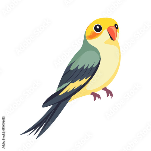 Cute tropical parrot vector illustration. Cartoon lovebird or parakeet with colorful plumage, isolated on white. Exotic bird character for design.