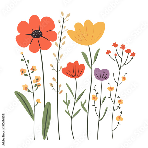 Vector illustration of colorful wild flowers. Hand-drawn meadow plants and herbs in flat style, isolated on white background. Spring floral design.