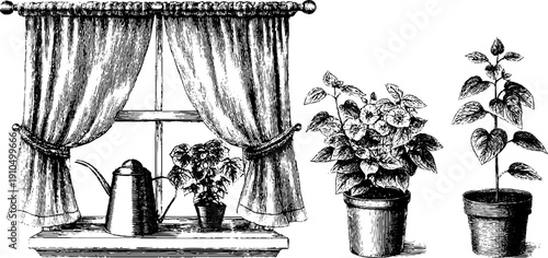 Vintage window scene with potted plants and afternoon light for home decor and design