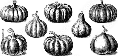 Engraved illustration set of carved pumpkins for halloween decorations and designs