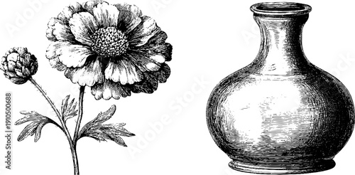 Vintage engraved illustration of ceramic vase and flower stem for retro design