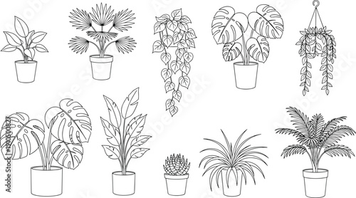 Collection of indoor potted plant line art illustrations featuring monstera deliciosa palm leaves hanging ivy succulent and various tropical houseplants set.