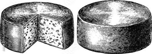 Vintage engraving of whole and sliced cheese wheel for poster design