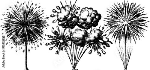 Vintage fireworks burst illustration set in bold black lines for festive design