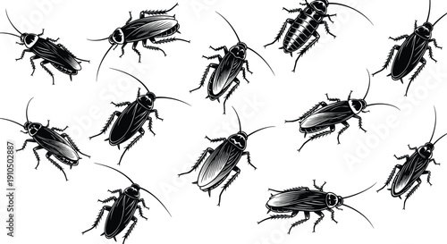 cockroach, insect, pest, silhouette, vector, black, bug, roach, infestation, collection, set, isolated, hygiene, biology, nature