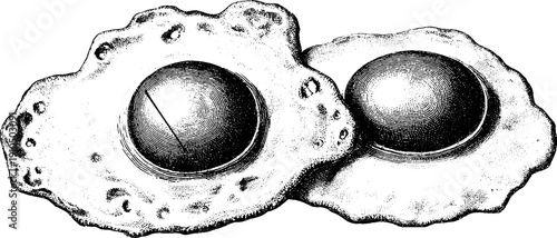 Vintage engraved illustration set of fried eggs in bold lines for retro design