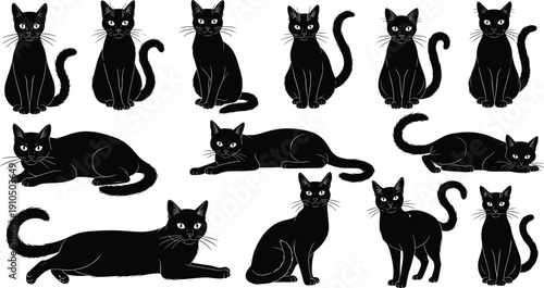 Vector set of black cat silhouettes in various poses including sitting, laying down, and standing, isolated icons for Halloween and pet design