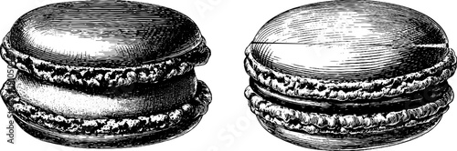 Vintage macaron sketch collection for culinary design and decoration
