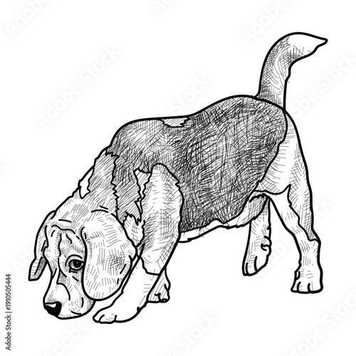 Hand Drawn Shaded Beagle Dog Illustration