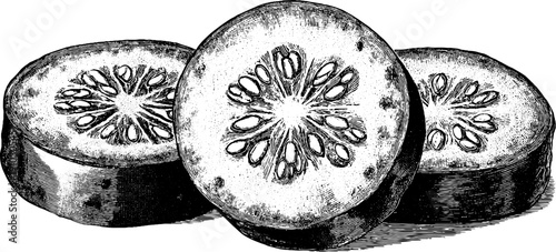 Vintage pickle slice engraving design for culinary art and labels