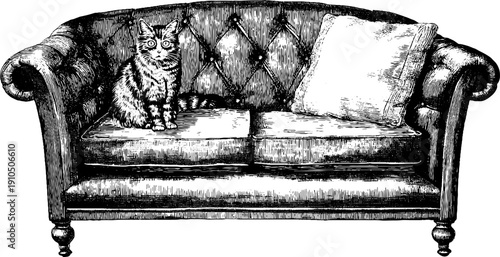 Vintage engraved illustration of sofa with pillow and cat - retro home decor design