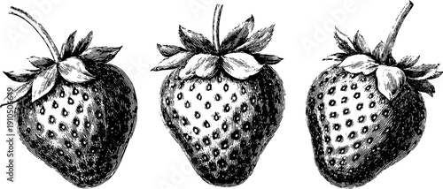 Vintage strawberry set engraving with bold black lines for design and decor