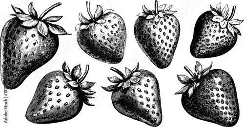 Vintage engraved strawberry set with bold black lines for retro design